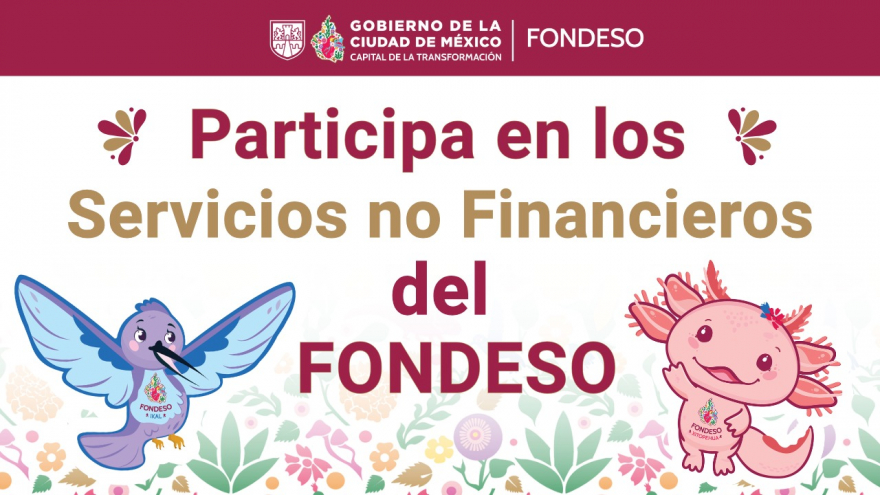 Servicios no Financieros